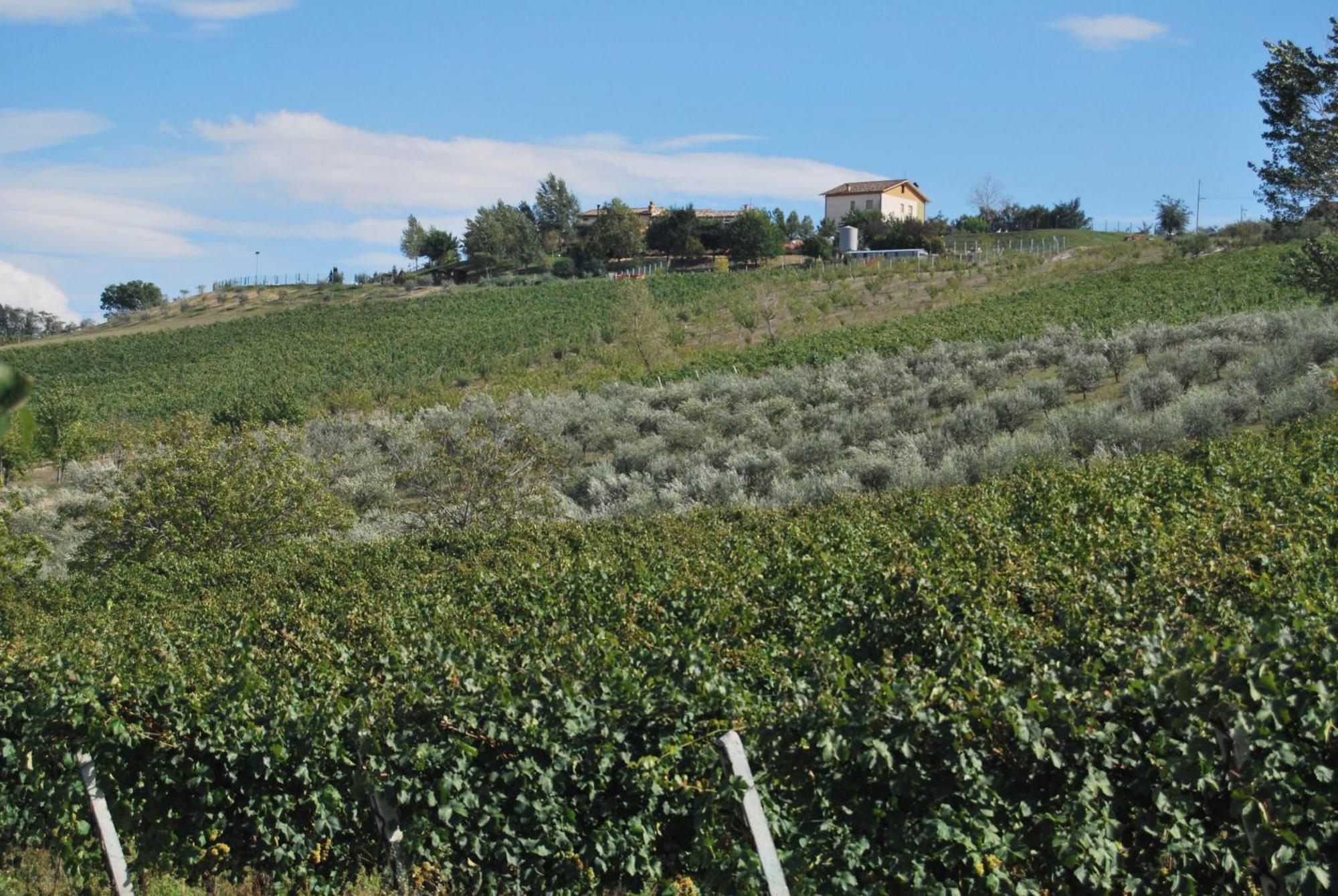 Cadabò Vila Montecarotto Exterior foto